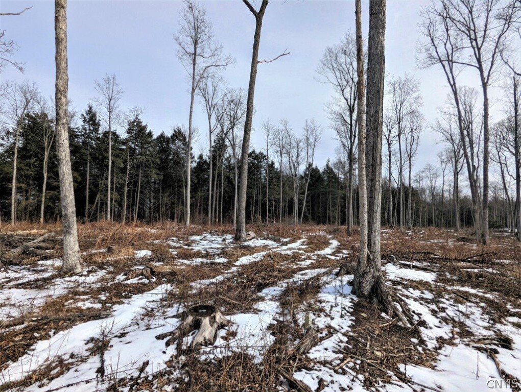 0 Smith Hill Road Addison, NY 14801 - Photo 4 of 19