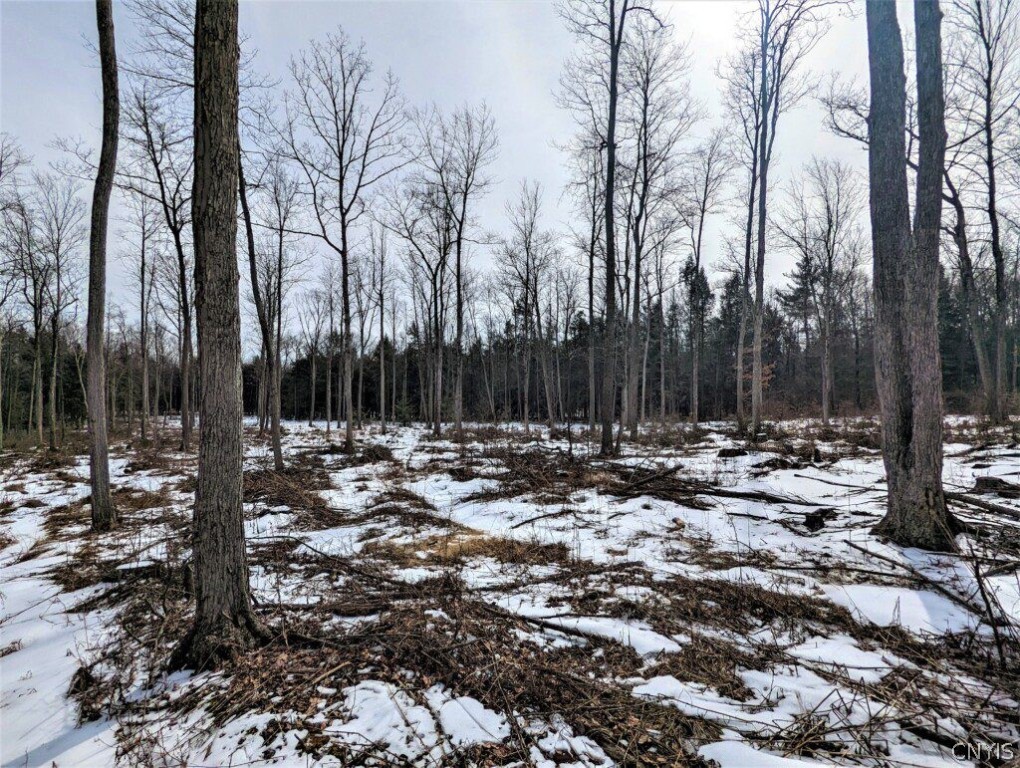 0 Smith Hill Road Addison, NY 14801 - Photo 7 of 19