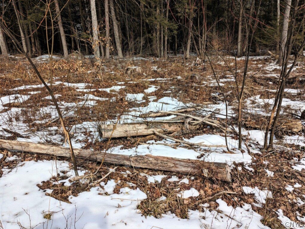 0 Smith Hill Road Addison, NY 14801 - Photo 8 of 19