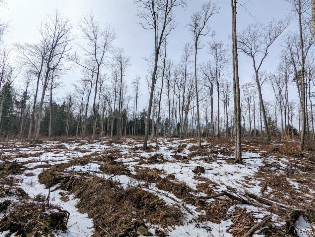 0 Smith Hill Road Addison, NY 14801 - Photo 9 of 19