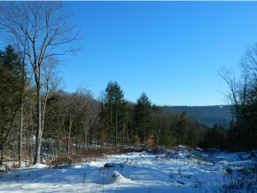 Xx Brookline Road Townshend, VT 05353 - Photo 1 of 5