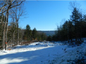 Xx Brookline Road Townshend, VT 05353 - Photo 2 of 5