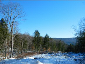 Xx Brookline Road Townshend, VT 05353 - Photo 3 of 5