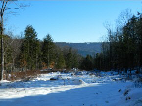 Xx Brookline Road Townshend, VT 05353 - Photo 4 of 5