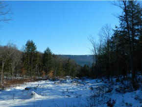 Xx Brookline Road Townshend, VT 05353 - Photo 5 of 5