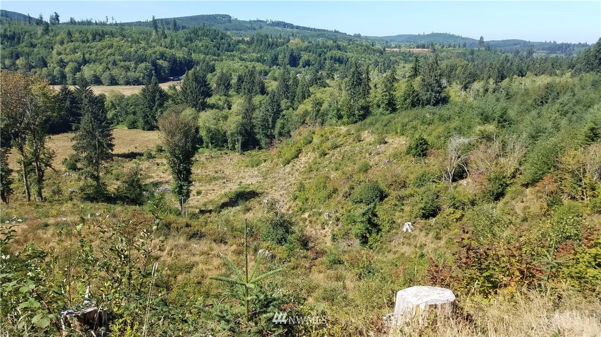 -off Of Rue Creek Road Raymond, WA 98577 - Photo 1 of 16 Gallery Image 1