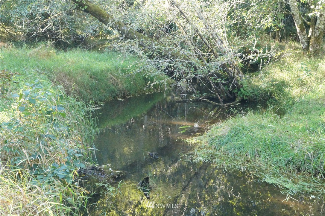 -off Of Rue Creek Road Raymond, WA 98577 - Photo 14 of 16 Gallery Image 14