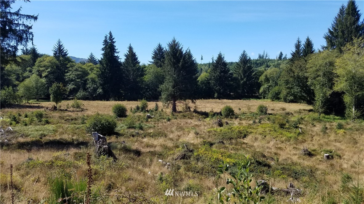 -off Of Rue Creek Road Raymond, WA 98577 - Photo 3 of 16 Gallery Image 3