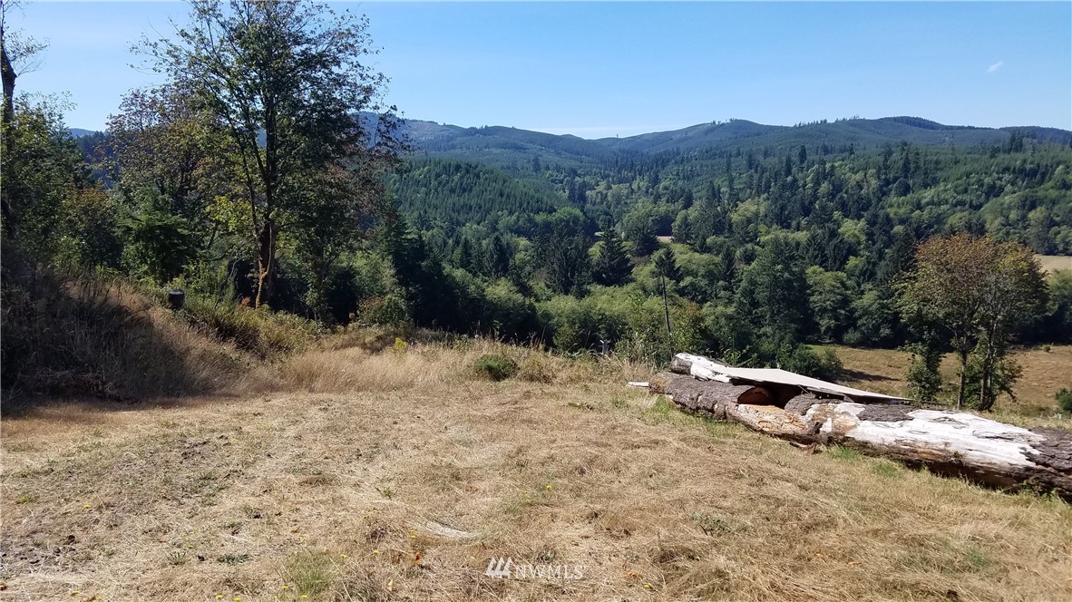 -off Of Rue Creek Road Raymond, WA 98577 - Photo 5 of 16 Gallery Image 5