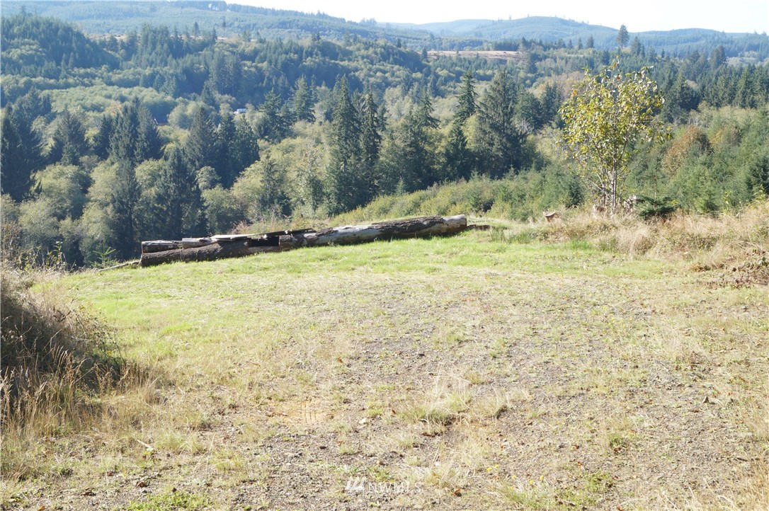 -off Of Rue Creek Road Raymond, WA 98577 - Photo 6 of 16 Gallery Image 6