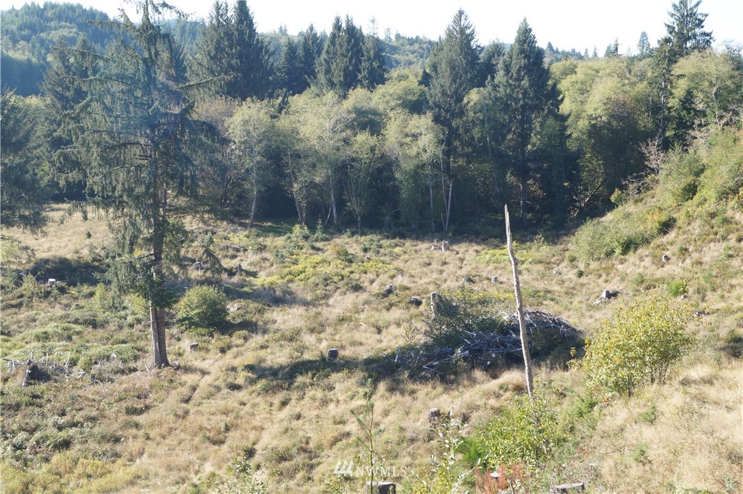 -off Of Rue Creek Road Raymond, WA 98577 - Photo 8 of 16 Gallery Image 8