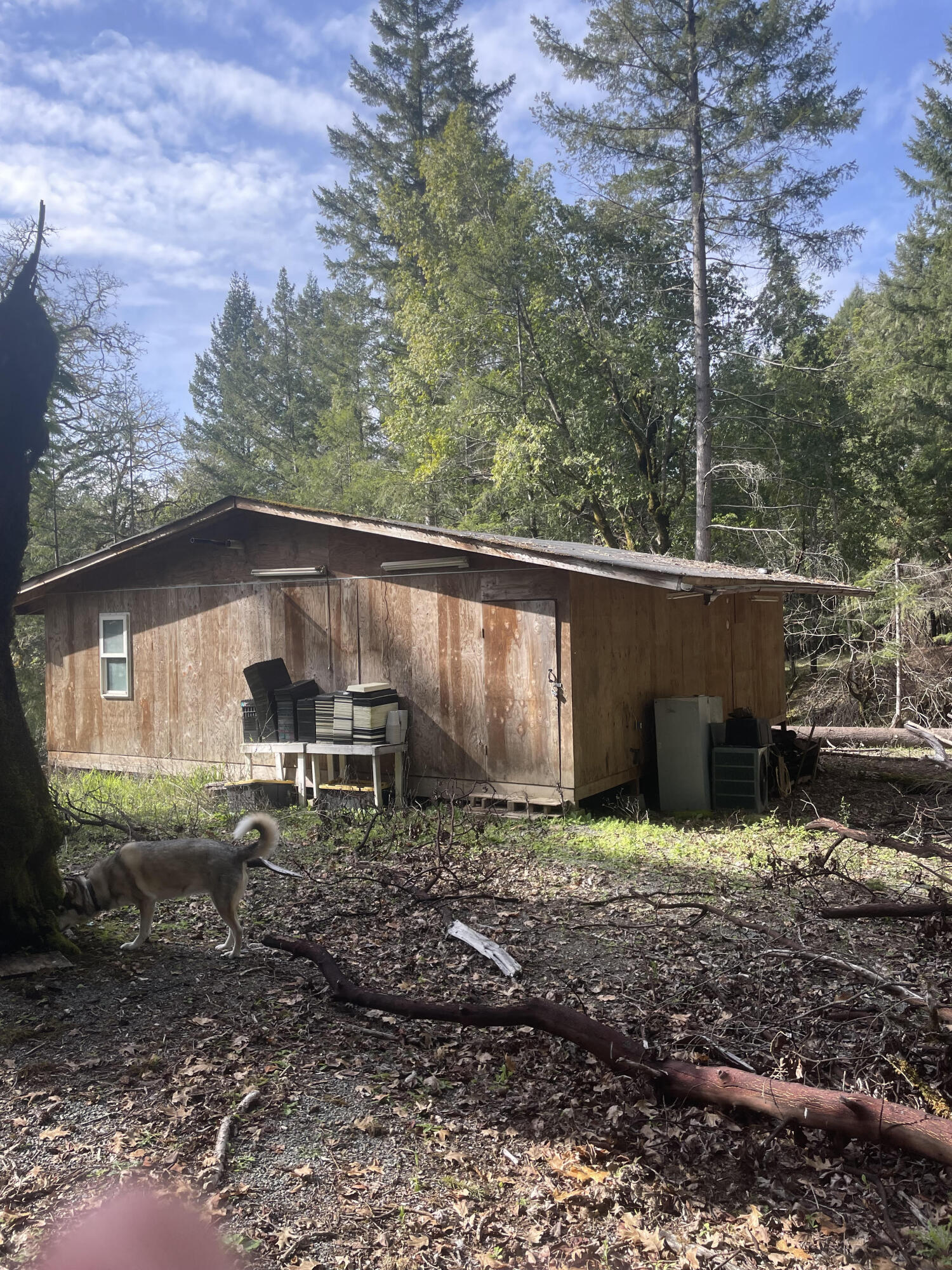 217381 Sunset Ridge Road Blocksburg, CA 95514 - Photo 9 of 12