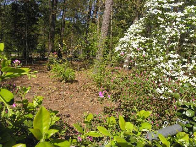 8900 Brandon Station Road Raleigh, NC 27613 - Photo 10 of 10 The large wooded lot is much larger than the fenced portion Other