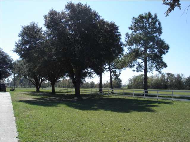 987 Emar Drive Church Point, LA 70525 - Photo 4 of 10 Additional Photo