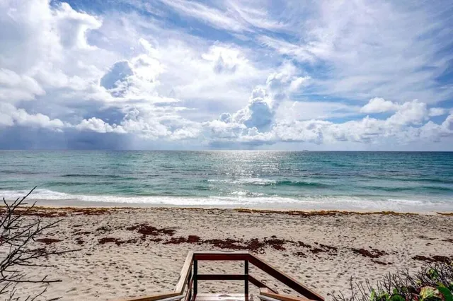 a view of a pool with a yard and potted plants