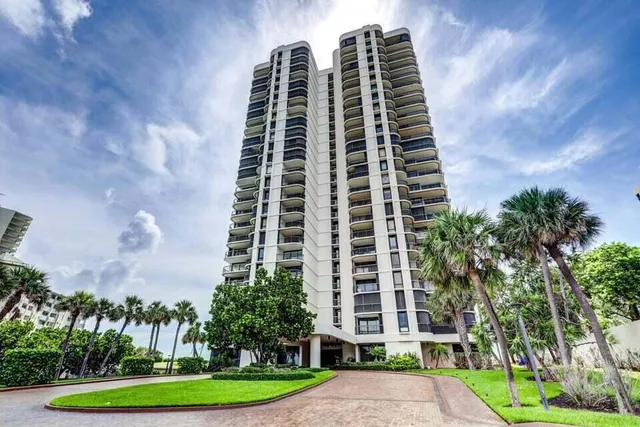 a view of a garden with a bench