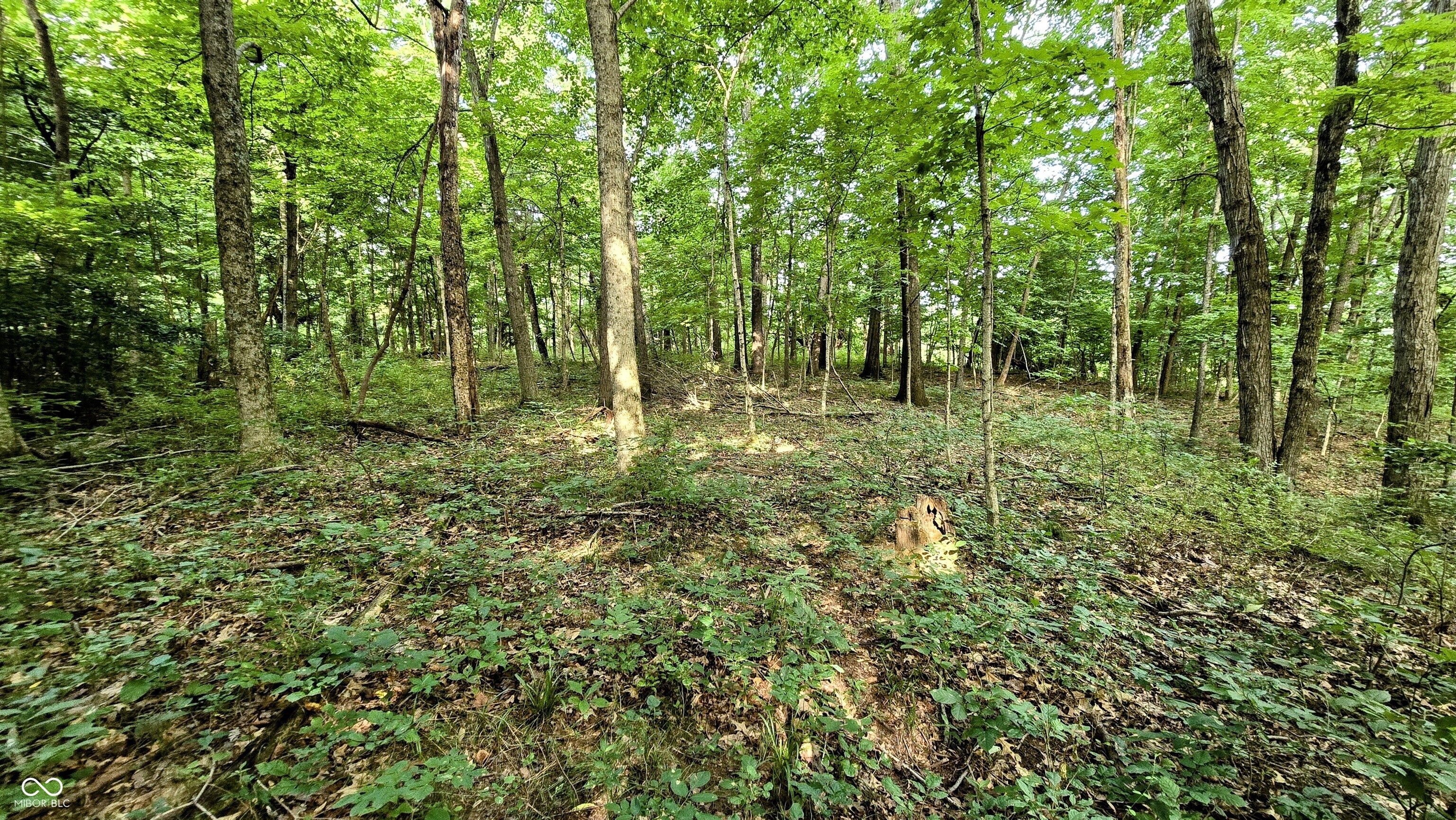 0 Lovers Lane Road West Bennington, IN 47011 - Photo 26 of 45 Gallery Image 26