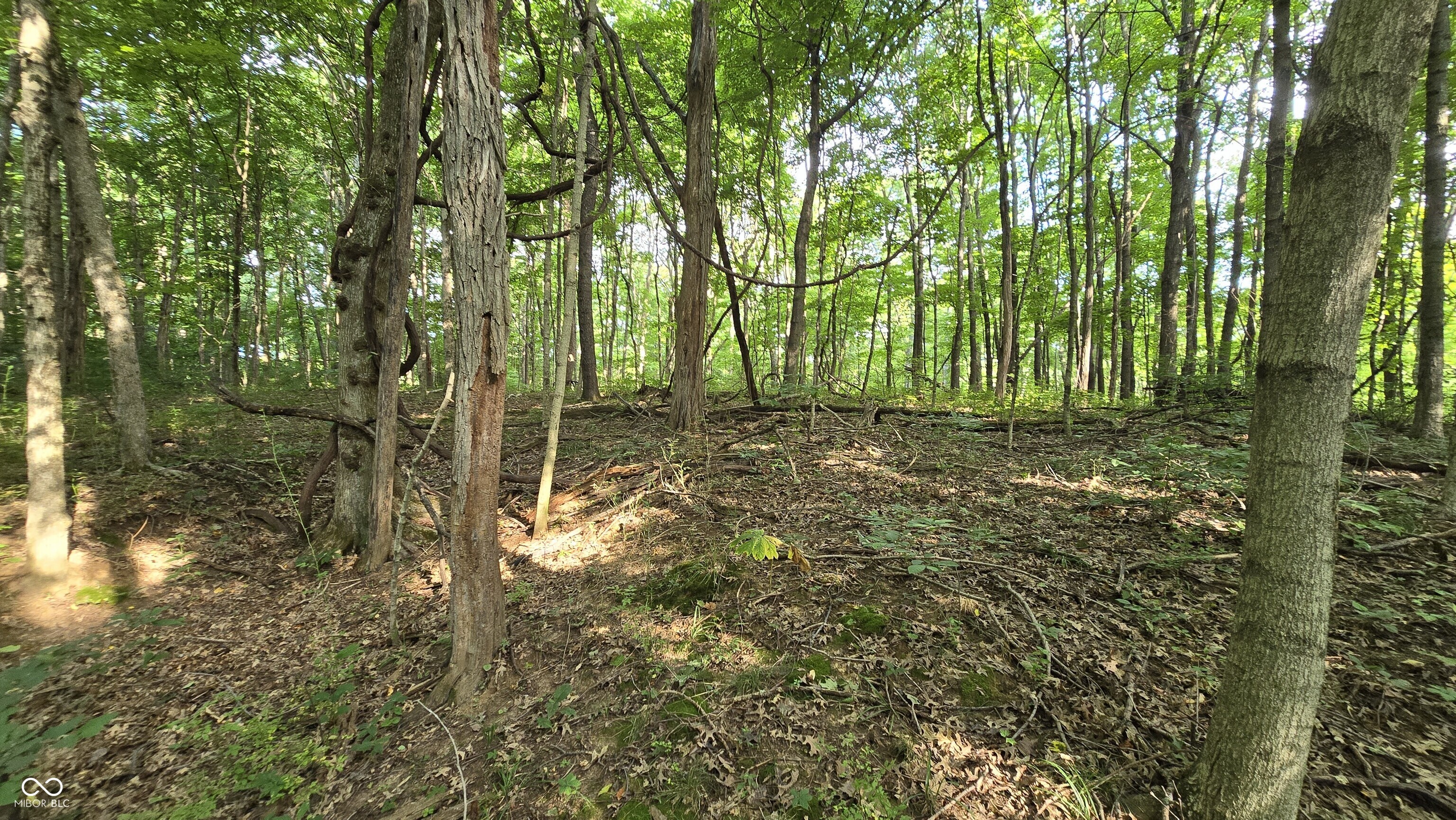0 Lovers Lane Road West Bennington, IN 47011 - Photo 28 of 45 Gallery Image 28
