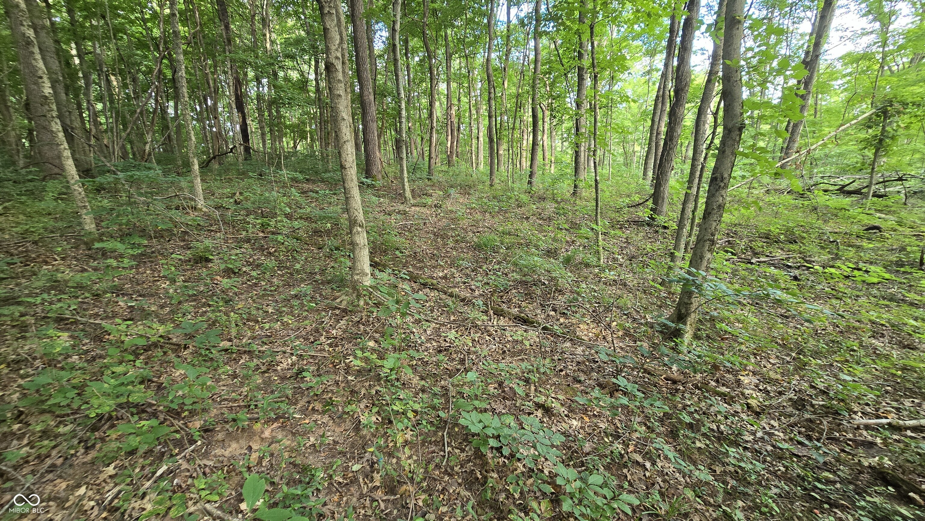 0 Lovers Lane Road West Bennington, IN 47011 - Photo 30 of 45 Gallery Image 30