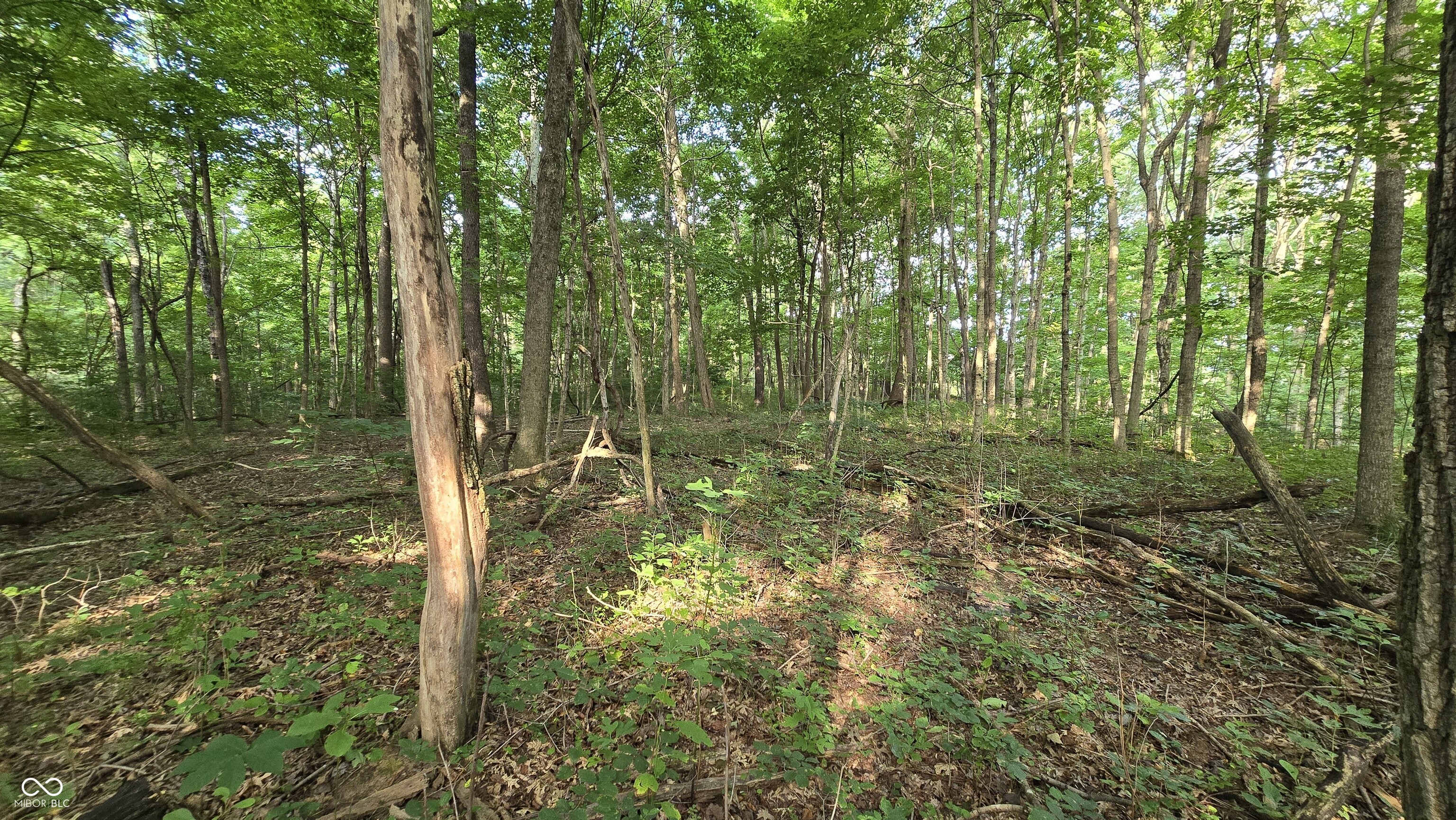 0 Lovers Lane Road West Bennington, IN 47011 - Photo 32 of 45 Gallery Image 32