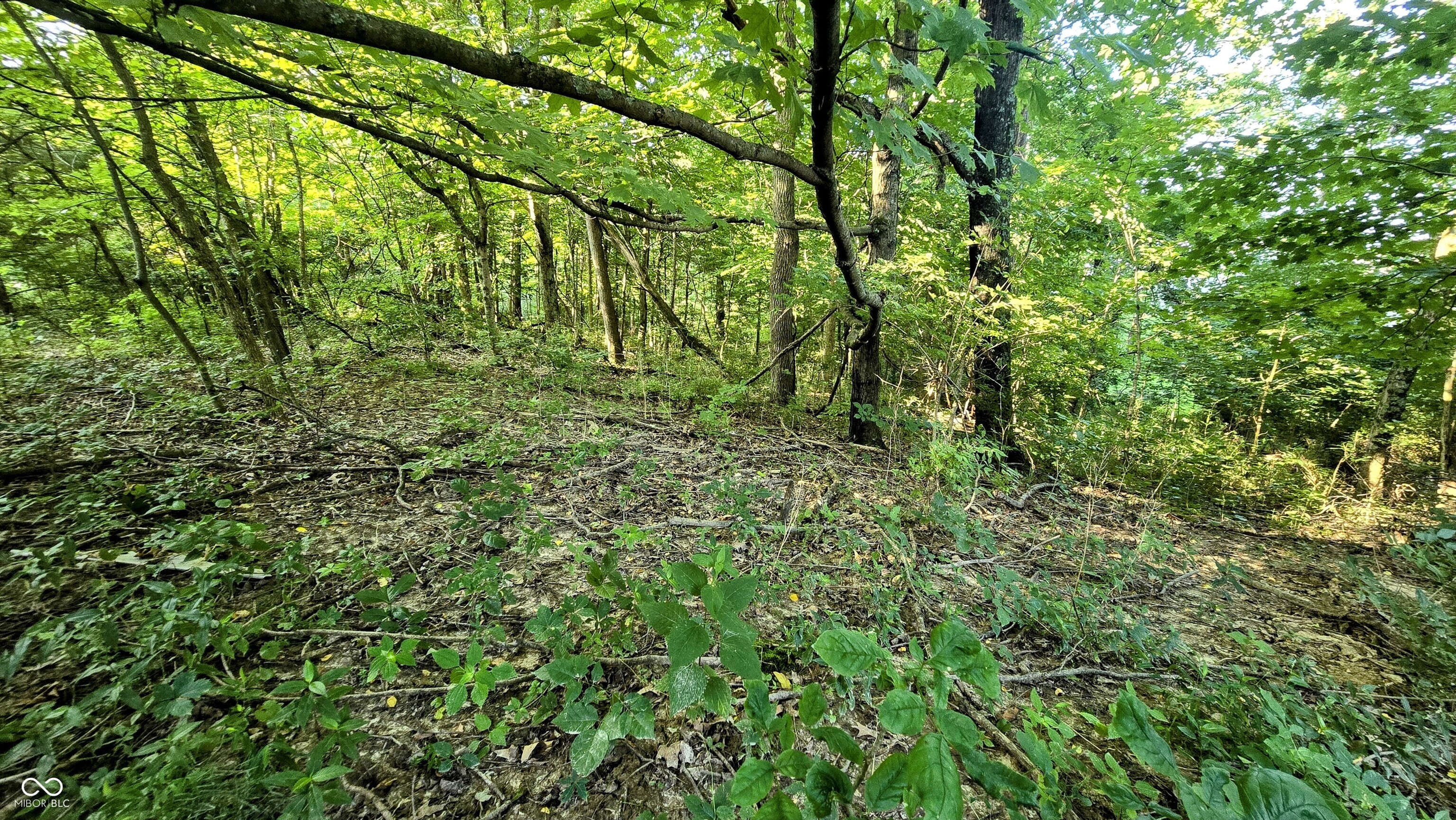0 Lovers Lane Road West Bennington, IN 47011 - Photo 10 of 45 Gallery Image 10