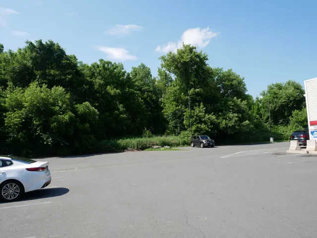 a view of outdoor space with garden