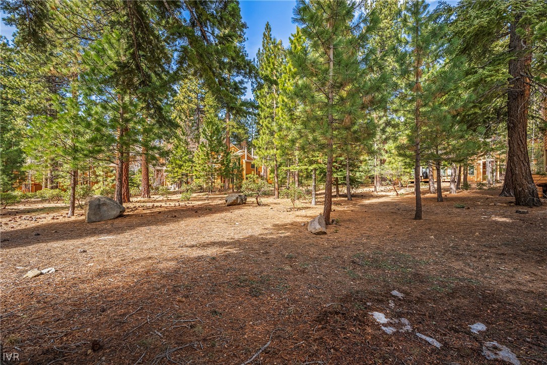 947 Incline Way, Unit 183 Incline Village, NV 89451 - Photo 20 of 37 a view of road with trees