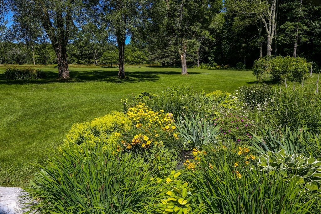 5 State Farm Road Heath, MA 01340 - Photo 39 of 42 a view of a park with large trees
