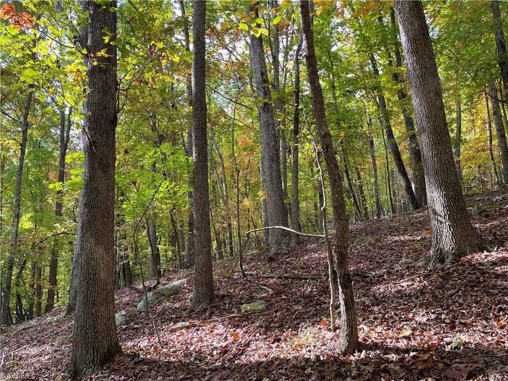 2818 Sierra Trace Road Denton, NC 27239 - Photo 16 of 41 Gallery Image 16
