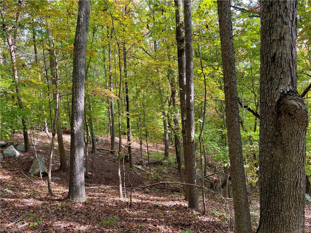 2818 Sierra Trace Road Denton, NC 27239 - Photo 18 of 41 Gallery Image 18