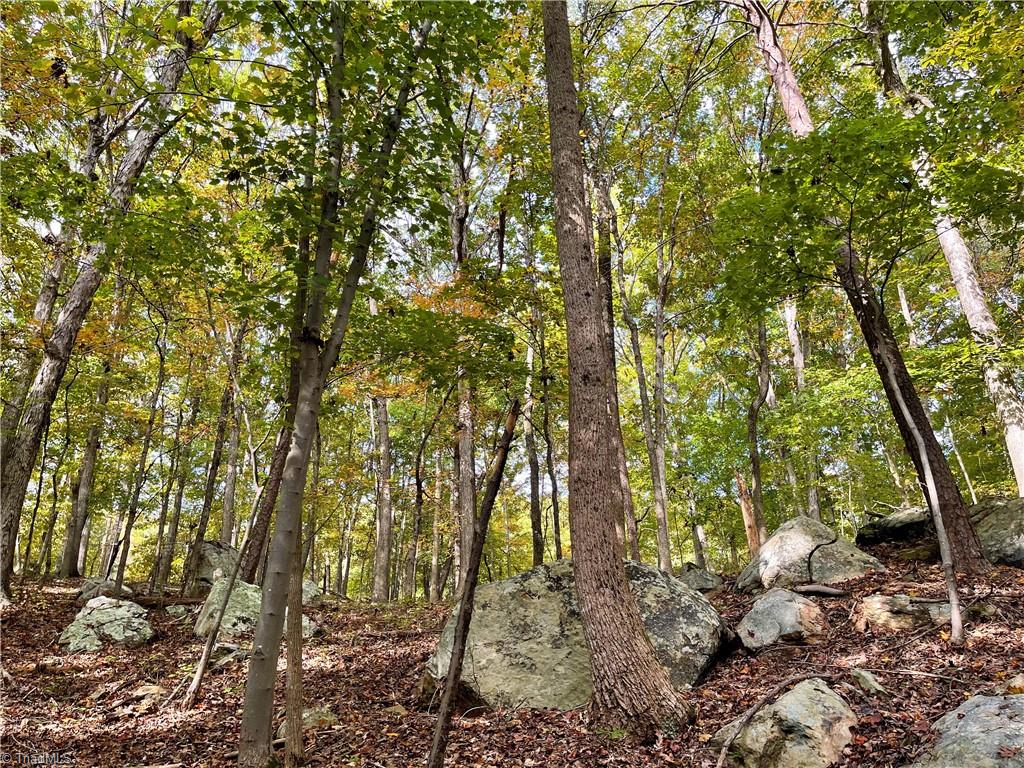 2818 Sierra Trace Road Denton, NC 27239 - Photo 19 of 41 Gallery Image 19