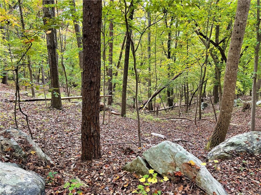 2818 Sierra Trace Road Denton, NC 27239 - Photo 20 of 41 Gallery Image 20