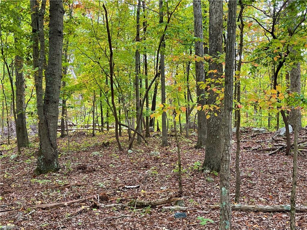2818 Sierra Trace Road Denton, NC 27239 - Photo 21 of 41 Gallery Image 21