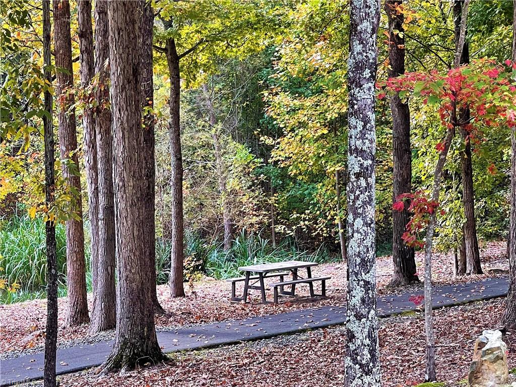 2818 Sierra Trace Road Denton, NC 27239 - Photo 32 of 41 Gallery Image 32