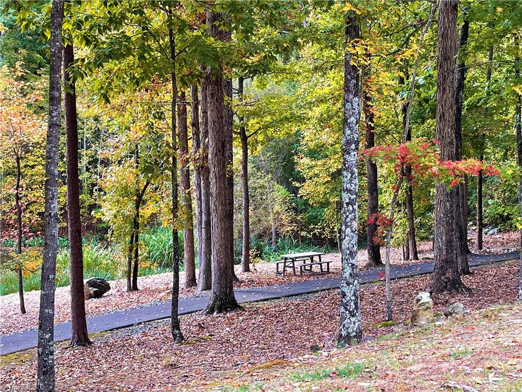 2818 Sierra Trace Road Denton, NC 27239 - Photo 36 of 41 Gallery Image 36
