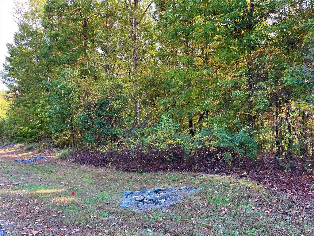 2818 Sierra Trace Road Denton, NC 27239 - Photo 6 of 41 Gallery Image 6