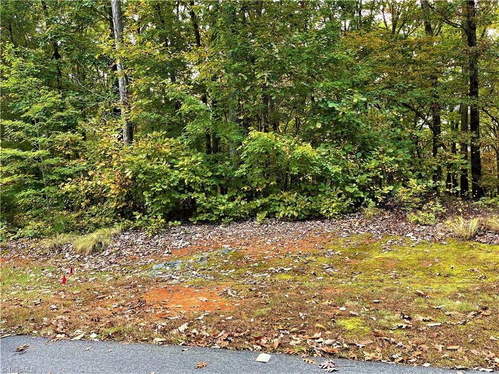2818 Sierra Trace Road Denton, NC 27239 - Photo 7 of 41 Gallery Image 7