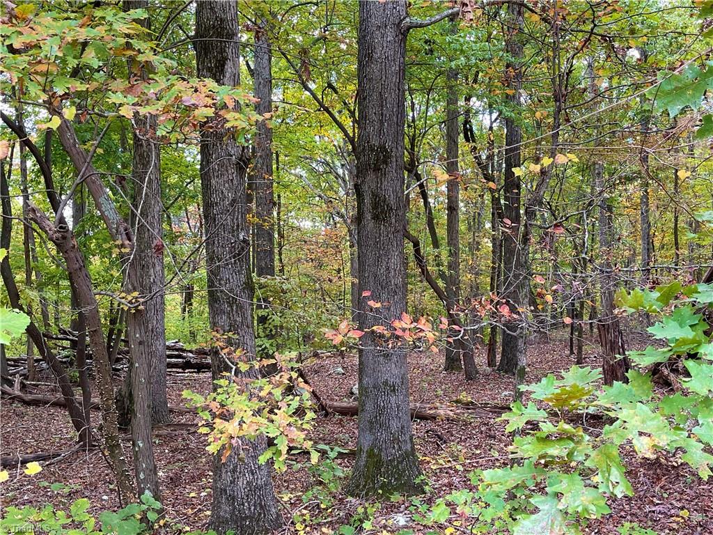 2818 Sierra Trace Road Denton, NC 27239 - Photo 8 of 41 Gallery Image 8