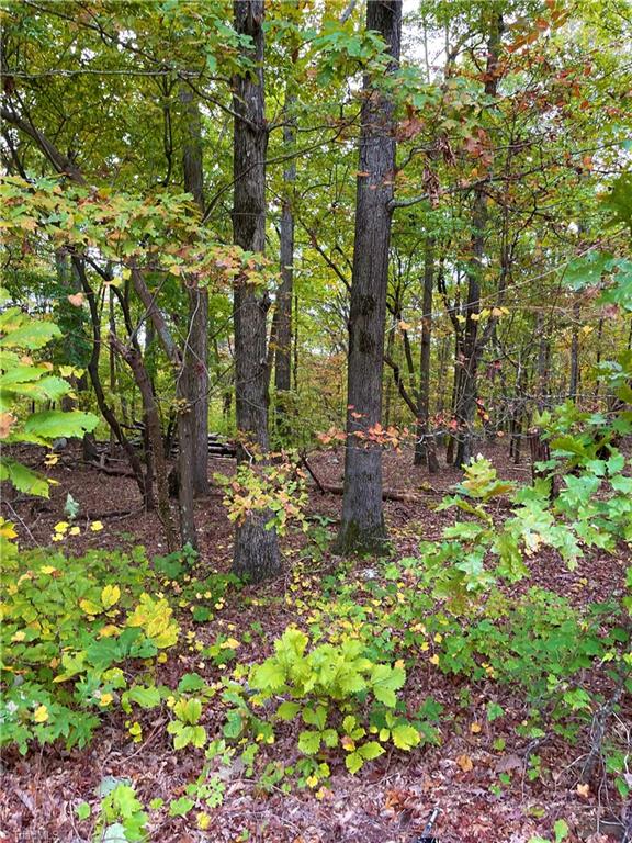2818 Sierra Trace Road Denton, NC 27239 - Photo 9 of 41 Gallery Image 9
