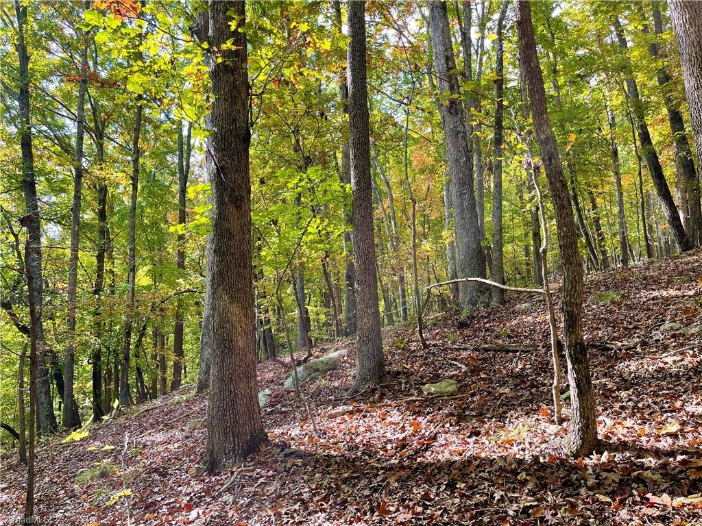 2818 Sierra Trace Road Denton, NC 27239 - Photo 10 of 41 Gallery Image 10