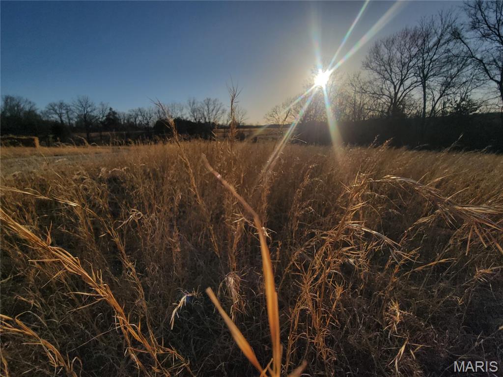 13342 Prairie Drive Plato, MO 65552 - Photo 33 of 50