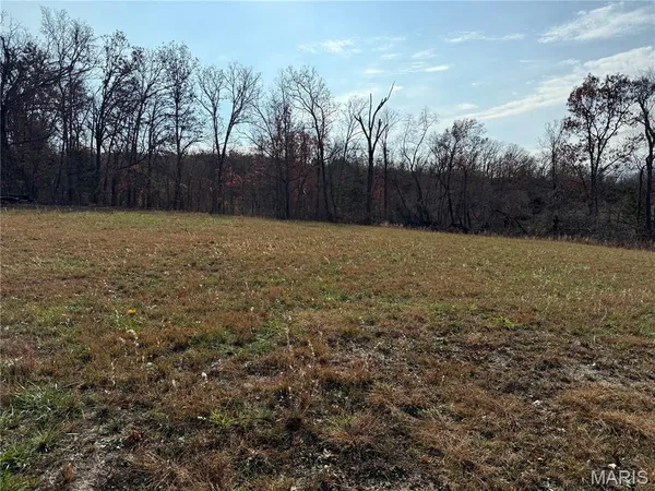 $549,900 | 13342 Prairie Drive, Plato, MO 65552