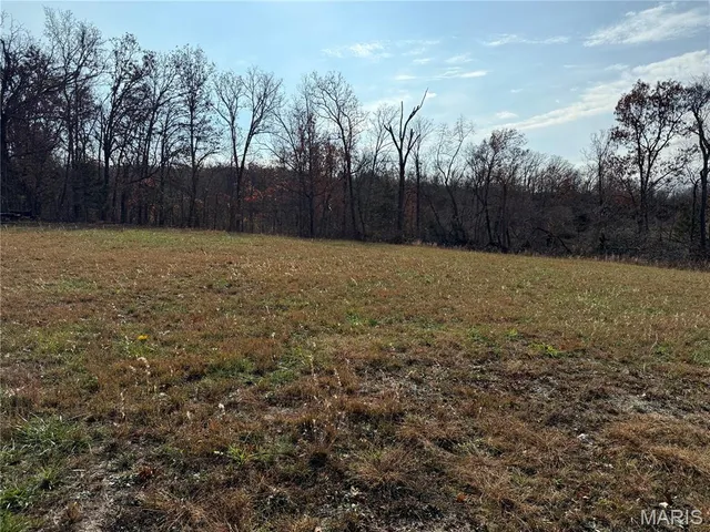 $549,900 | 13342 Prairie Drive, Plato, MO 65552