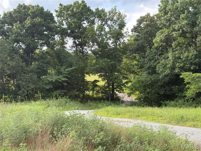 $549,900 | 13342 Prairie Drive, Plato, MO 65552