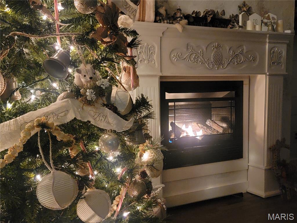 13342 Prairie Drive Plato, MO 65552 - Photo 5 of 50