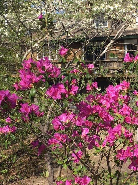 693 Raymond Road Arapahoe, NC 28510 - Photo 26 of 47 Spring Color