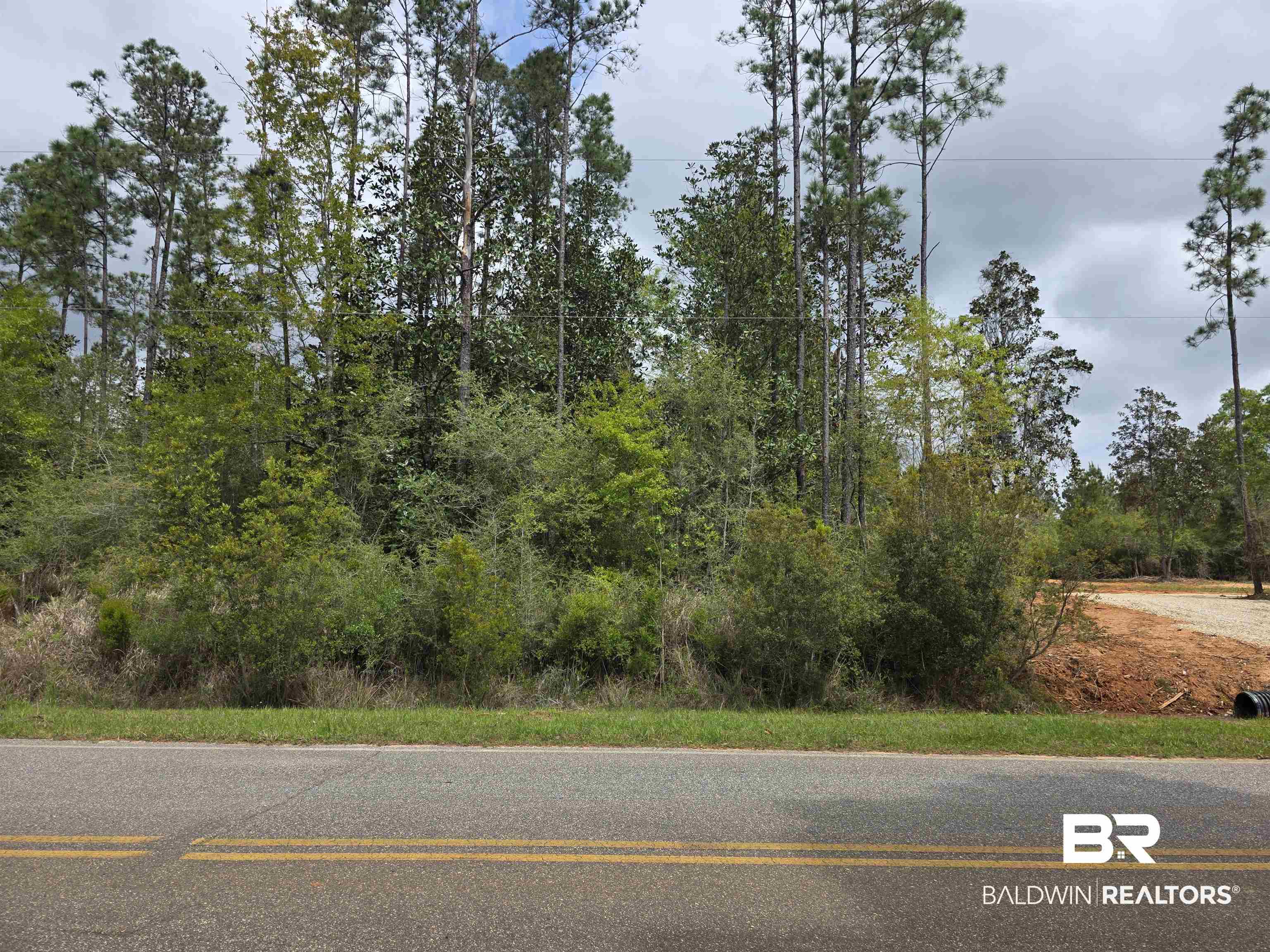 11631 Red Hill Rd Extension Bay Minette, AL 36507 - Photo 18 of 18 View of asphalt street