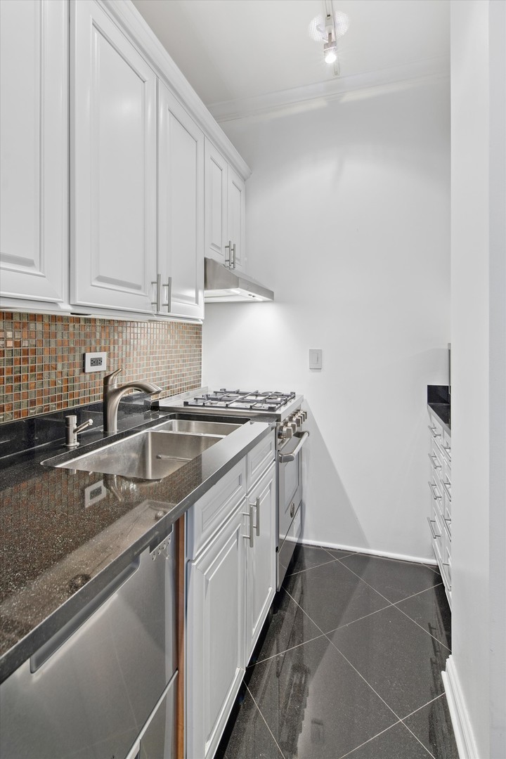 70 East Scott Street, Unit 306 Chicago, IL 60610 - Photo 8 of 17 a kitchen with a sink and cabinets