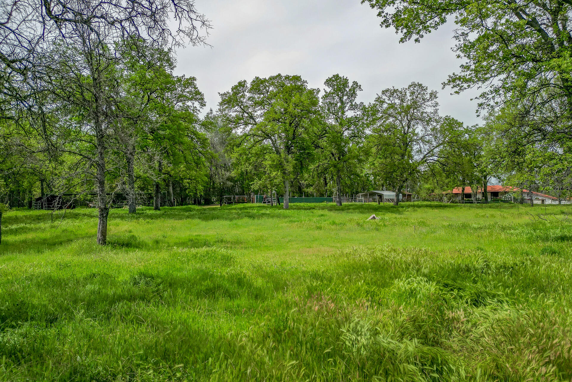21133 Falling Leaf Road Redding, CA 96003 - Photo 36 of 45 21133FallingLeafRoad-50