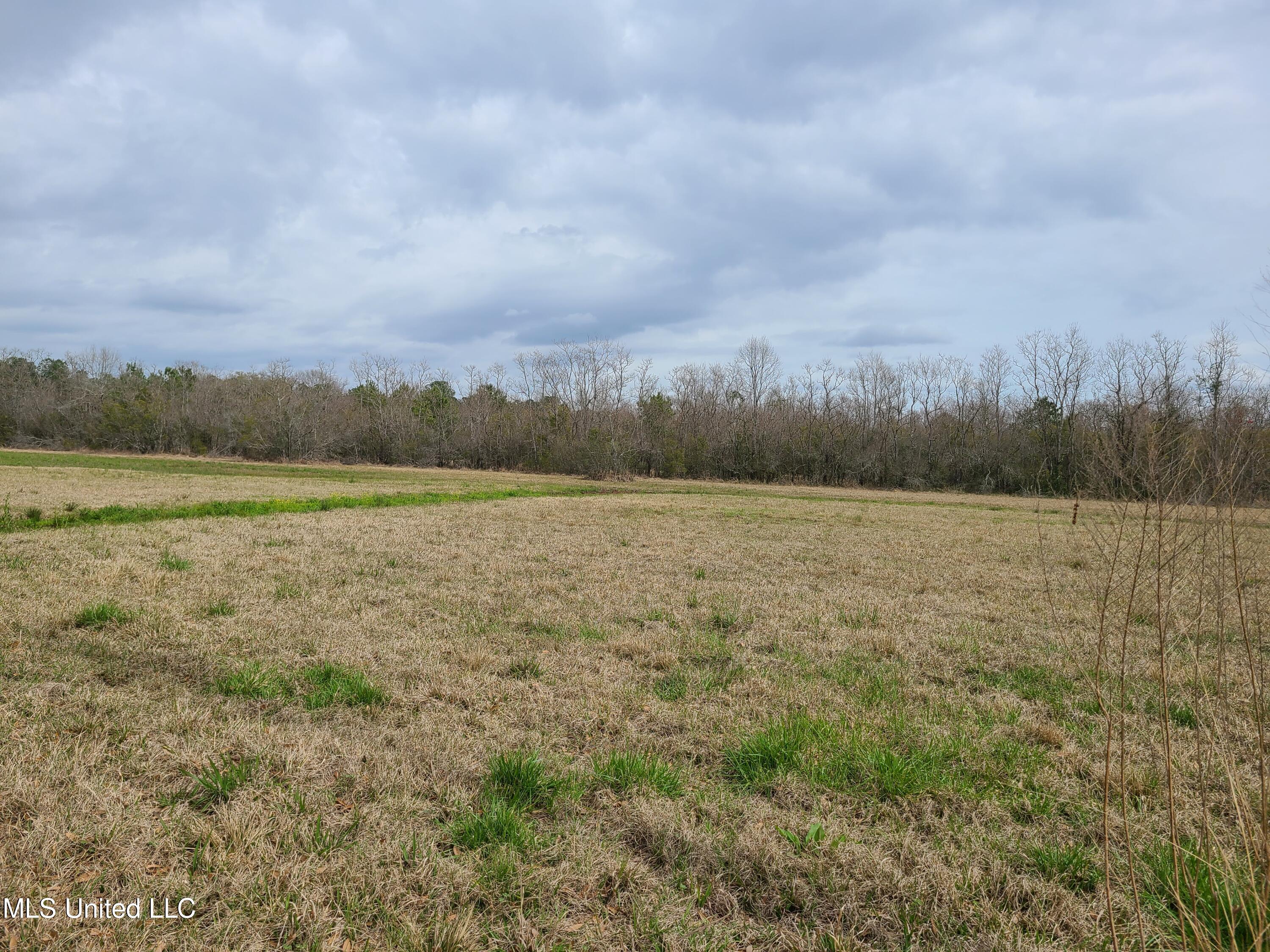 11252 Old Kiln Road Picayune, MS 39466 - Photo 19 of 27 East Field